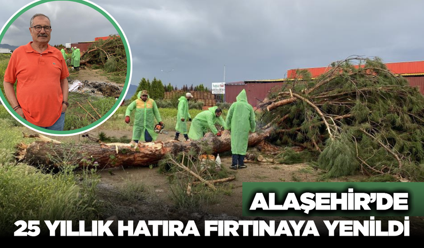 Alaşehir'de 25 Yıllık Manevi Kayıp: O Ağacın Hikayesi Duygulandırdı