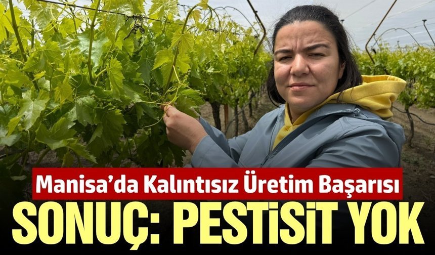 Alaşehirli çift kimyasal kalıntısız üretim yapmayı başardı