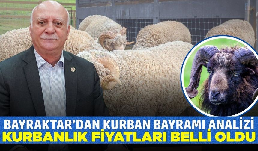 2026 Yılı Kurbanlık fiyatları belli oldu