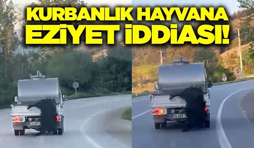Aracın arkasına bağladığı kurbanlık hayvanı metrelerce sürükledi!