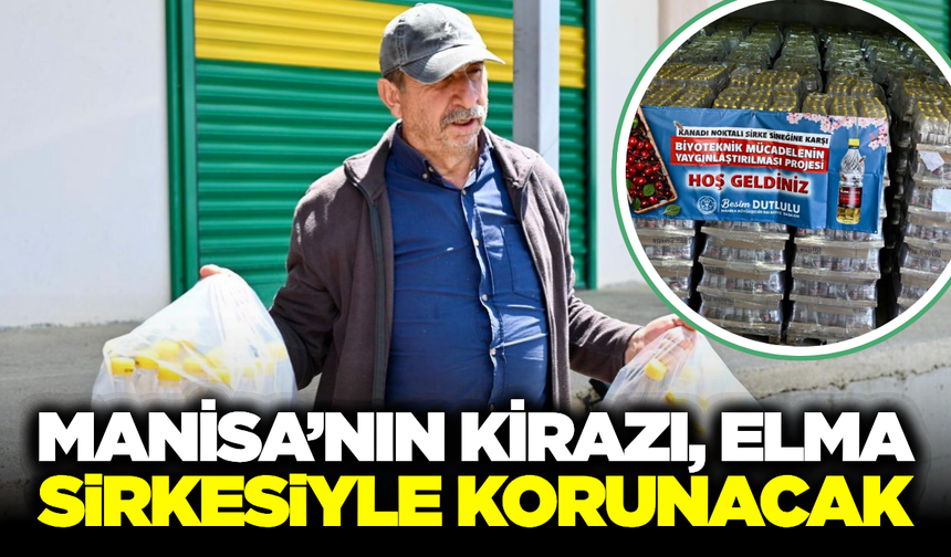 Manisa Büyükşehir Belediyesi'nden Kiraz Üreticisine "Sirkeli" Destek