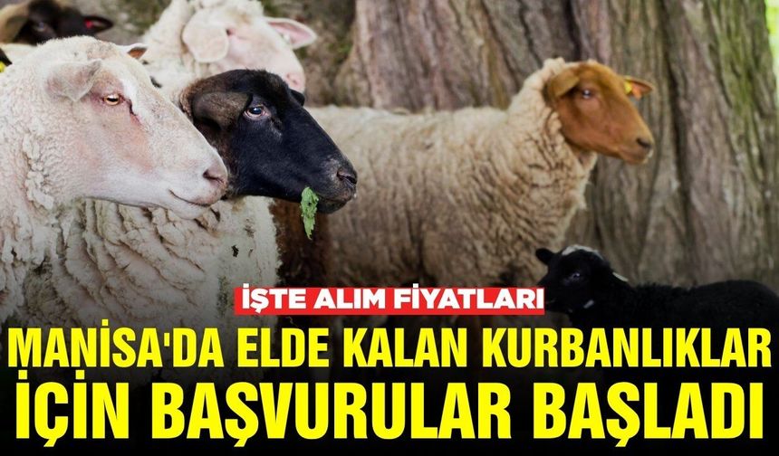 Manisa Tarım İl Müdürlüğü duyurdu: ESK satın alacak