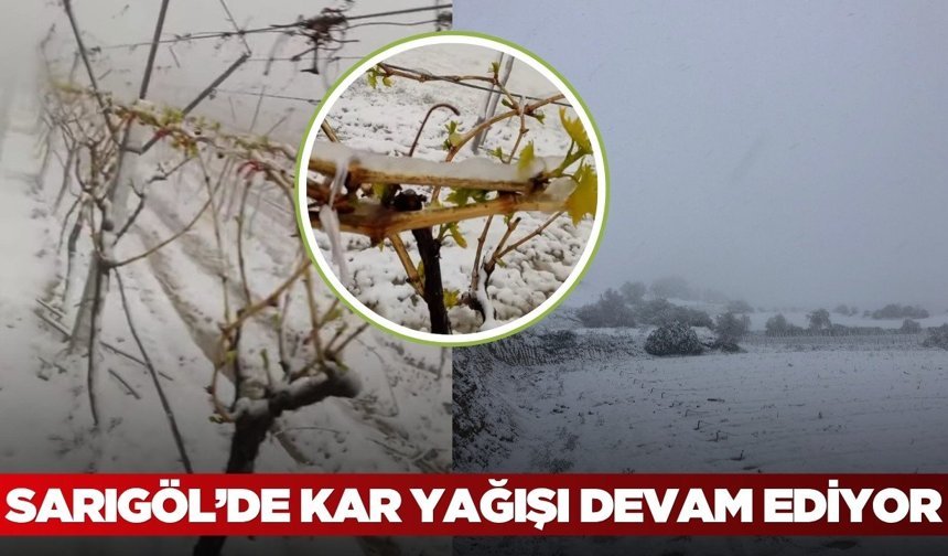 Sarıgöl beyaza büründü: Kar yağışı sürüyor