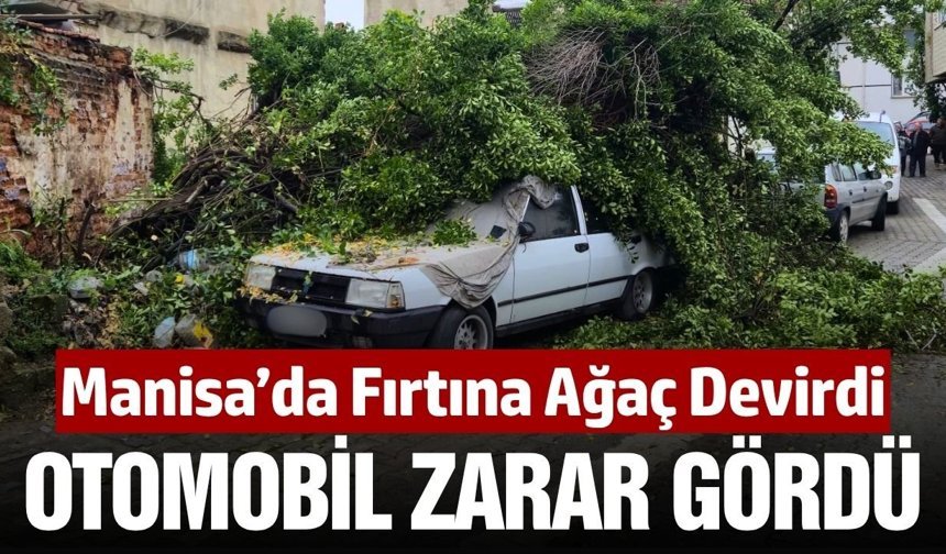 Sarıgöl'de şiddetli fırtına nedeniyle ağaç devrildi