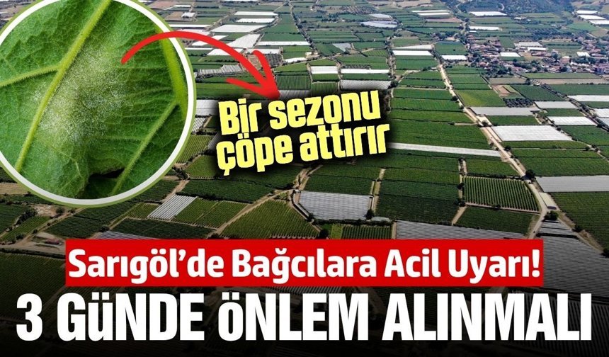 Sarıgöllü bağcılar dikkat: 3 gün için alarm verildi