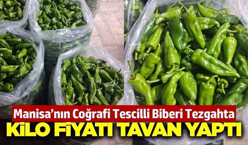 Sarıgöl’ün coğrafi işaretli Emcelli biberi tezgahlarda