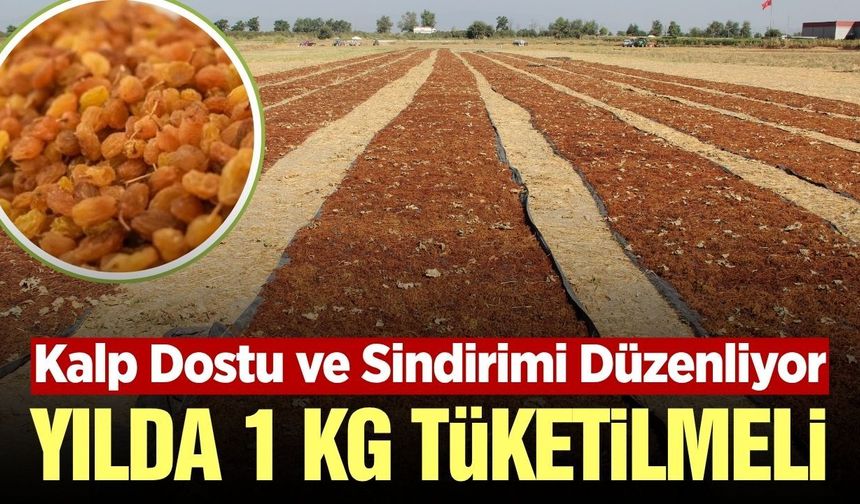 TARİŞ’ten kuru üzüm tüketimine dikkat çeken çağrı