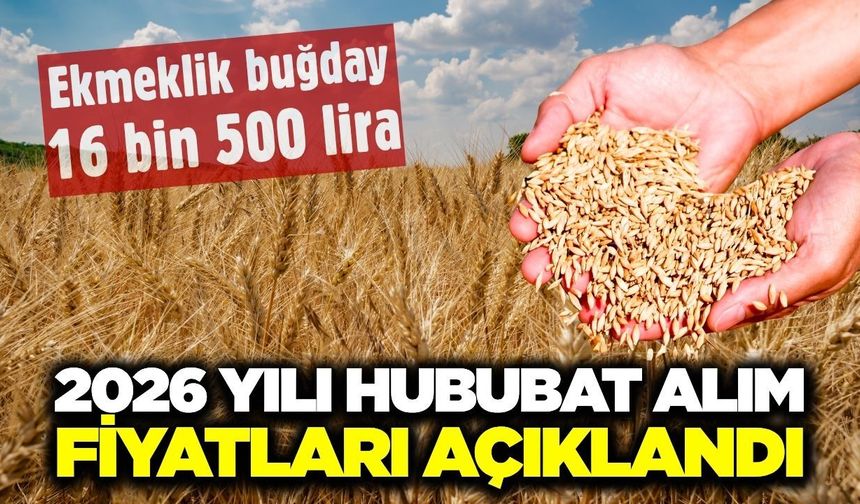 2026 yılı hububat alım fiyatları belli oldu