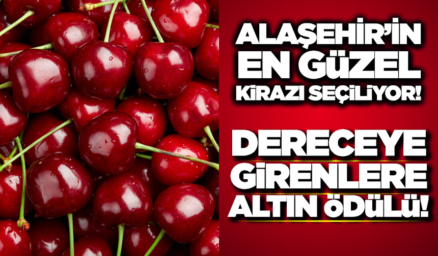 Alaşehir'de Festival Coşkusu: "En Güzel Kiraz" Yarışması Başlıyor!