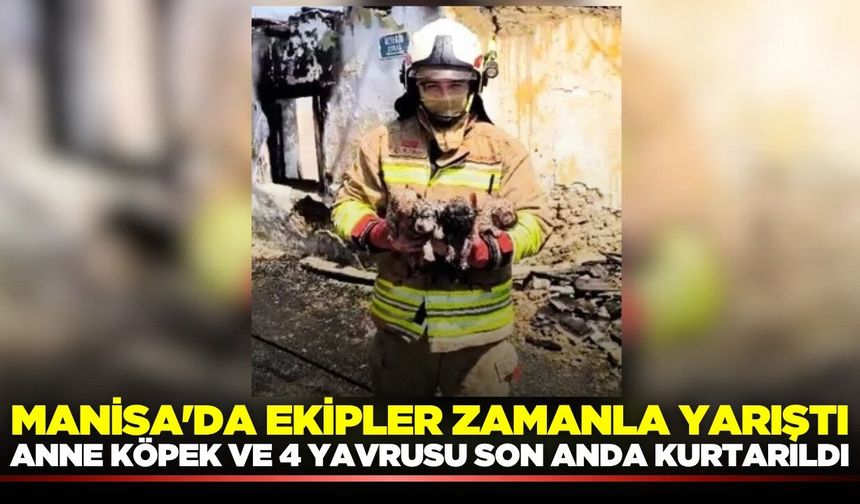 Manisa'da korkutan yangın: Anne köpek ve 4 yavrusu son anda kurtarıldı