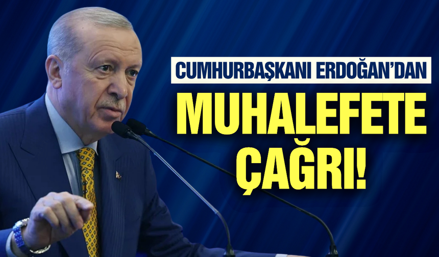Cumhurbaşkanı Erdoğan'dan muhalefete çağrı!
