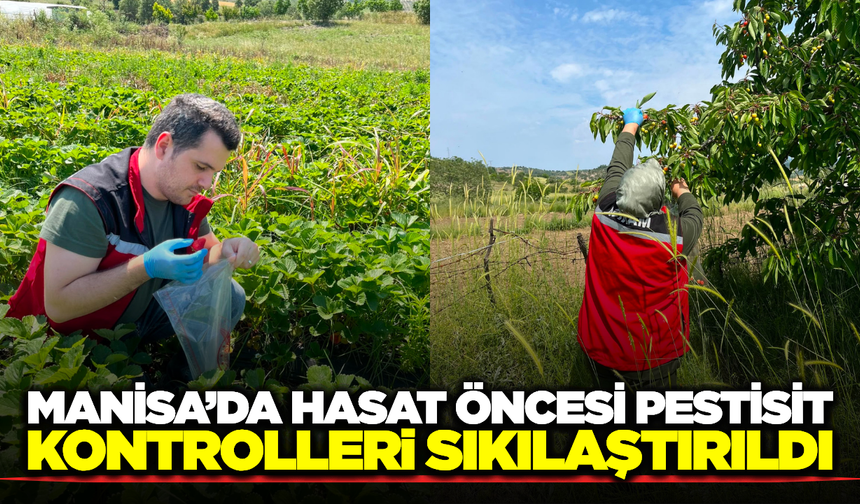 Demirci'de Güvenli Gıda İçin Hasat Öncesi Pestisit Denetimleri Başladı