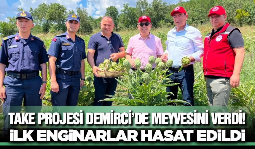 Demirci’de İlk Kez Yetiştirilen Enginar Yüzleri Güldürdü: TAKE Projesi Meyvelerini Veriyor