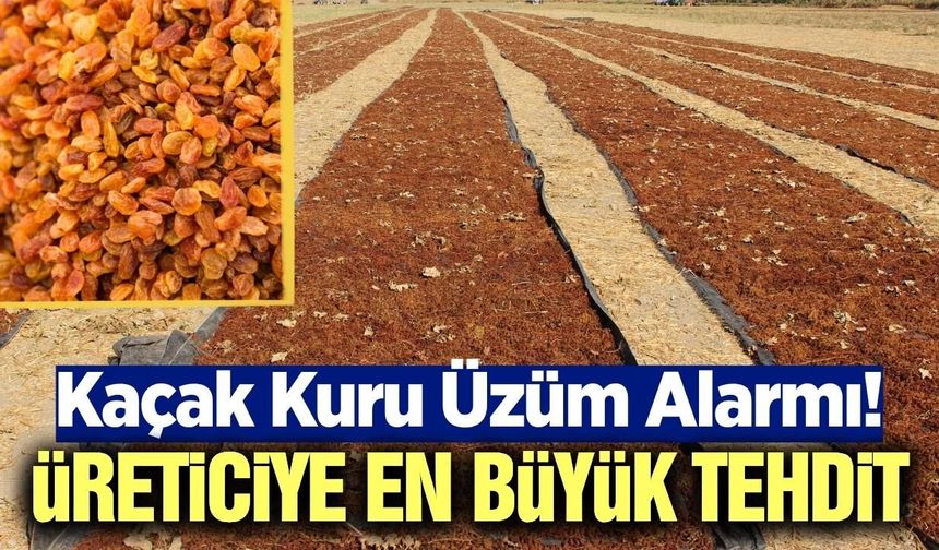 Kuru üzüm sektöründe kaçak alarmı: TARİŞ'ten denetim çağrısı
