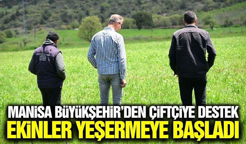 Manisa Büyükşehir’in tohum desteği tarlalarda yeşerdi