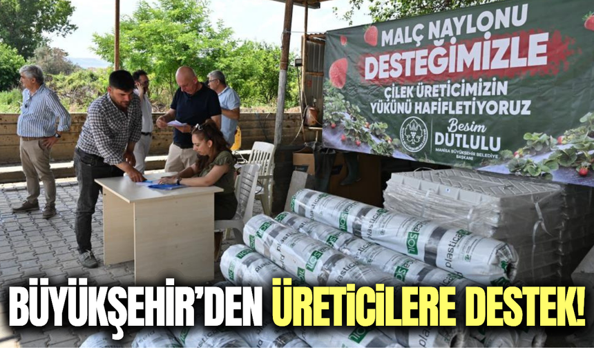 Manisa Büyükşehir'den çilek üreticisine destek!