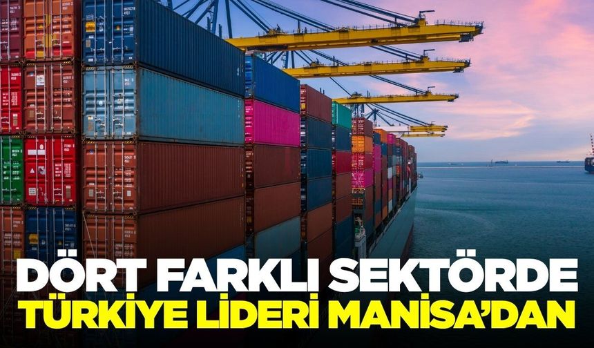 Manisa, Türkiye ihracatının yükselen yıldızı konumunda