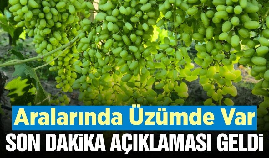 Manisa'da İl Tarımdan E-Reçete sistemi hakkında önemli bilgilendirme