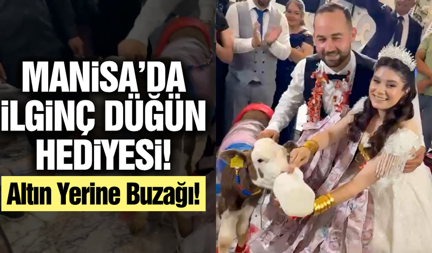 Manisa'da sıra dışı takı merasimi!
