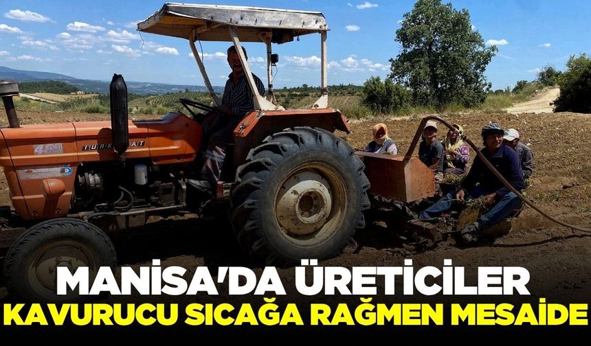 Manisa'da tarım işçileri emeklerinin karşılığını alamıyor!