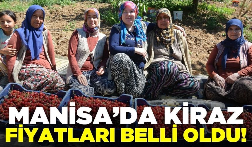 Manisa'da "Ziraat 0900" kirazında fiyat belli oldu!