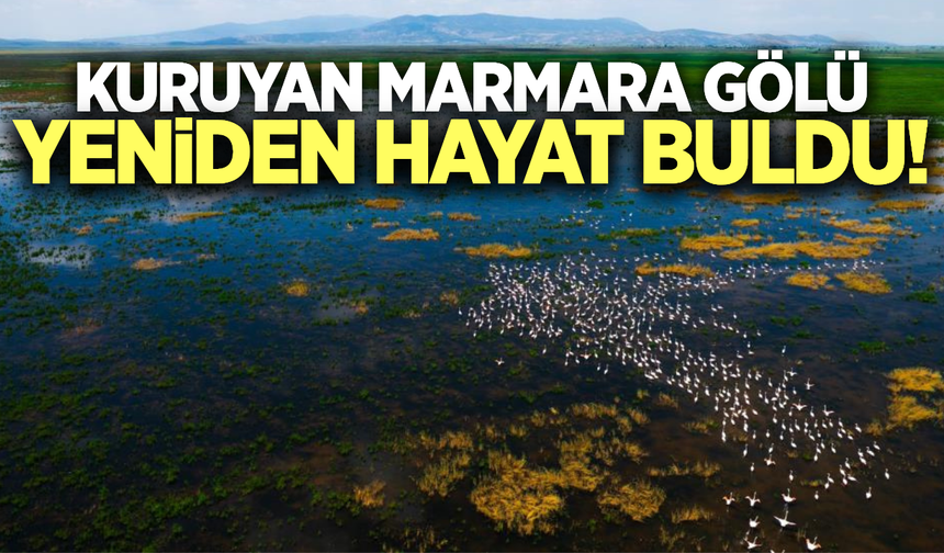 Marmara Gölü yeniden hayat buldu!
