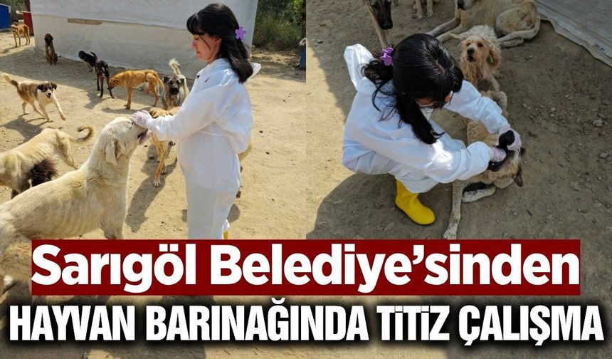Sarıgöl Belediyesi'nden can dostlara özenli bakım