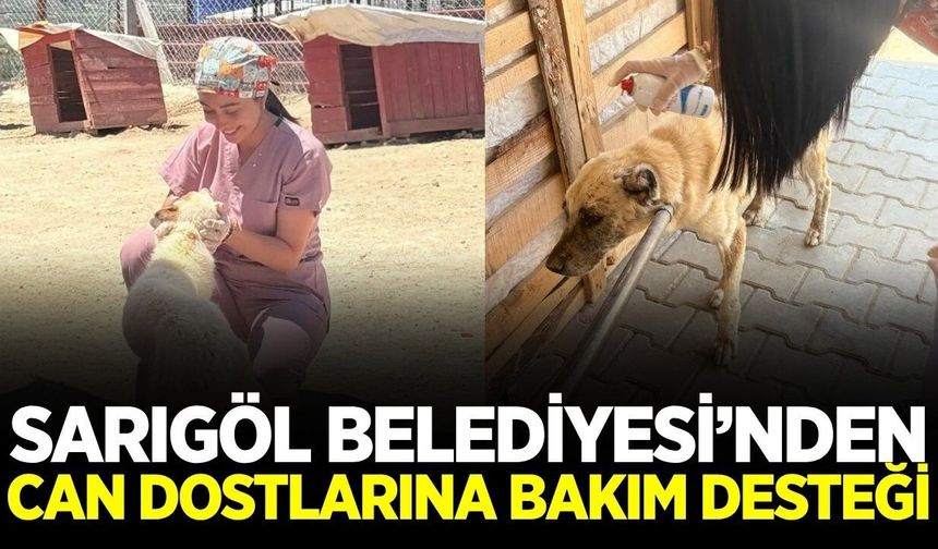 Sarıgöl'de can dostları unutulmadı!