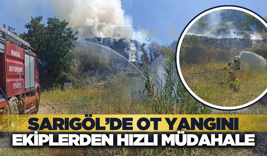 Sarıgöl'de ot yangını: Ekipler seferber oldu