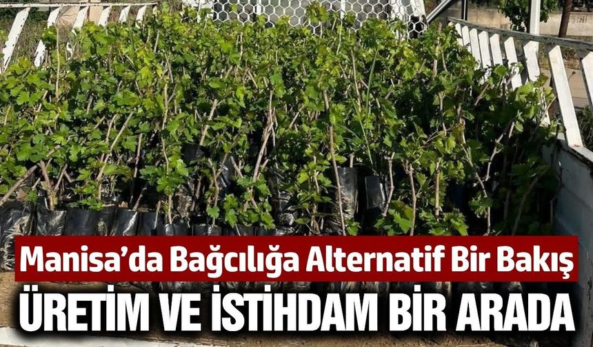 Sarıgöl'de üretiliyor: Türkiye'nin birçok şehrine gidiyor