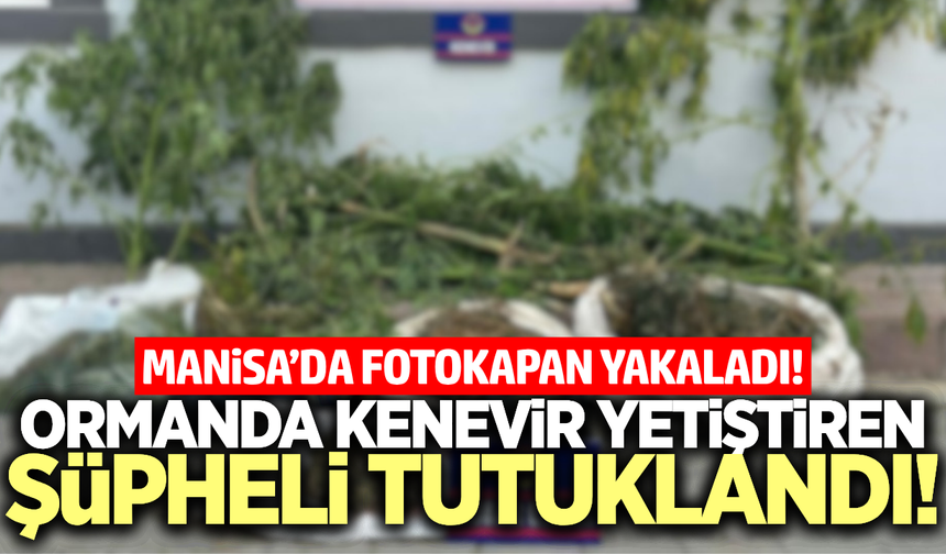Sarıgöl'de uyuşturucu operasyonunda 1 tutuklama!