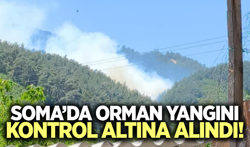 Soma'daki orman yangını söndürüldü!
