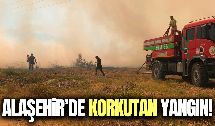 Alaşehir ot yangını paniğe neden oldu!