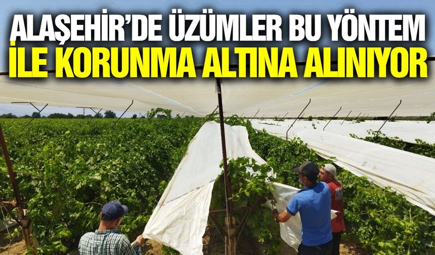 Sarıgöl çok modaydı, artık Alaşehir'de de örtülüyor