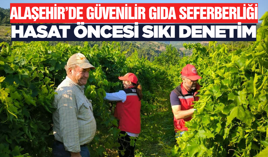 Alaşehir'de Güvenilir Gıda İçin Hasat Öncesi Sıkı Denetim: Numune Çalışmaları Sürüyor