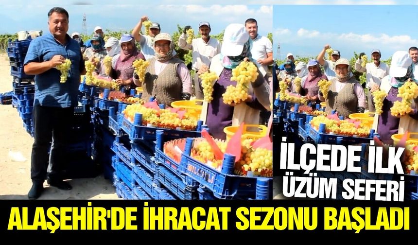 Alaşehir'de 2026 yılı üzüm ihracat sezonu başladı