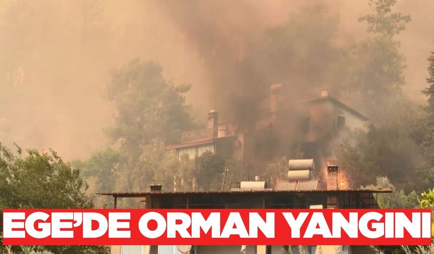 Ege'de orman yangını: Müdahale devam ediyor