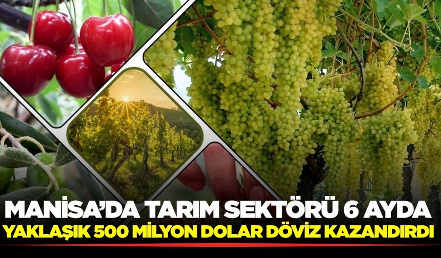 Manisa’da tarım ihracatı yüzleri güldürüyor