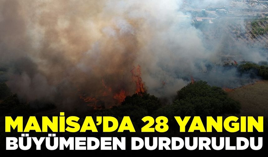 Manisa'da büyük başarı: Orman yangınlarının önüne geçti