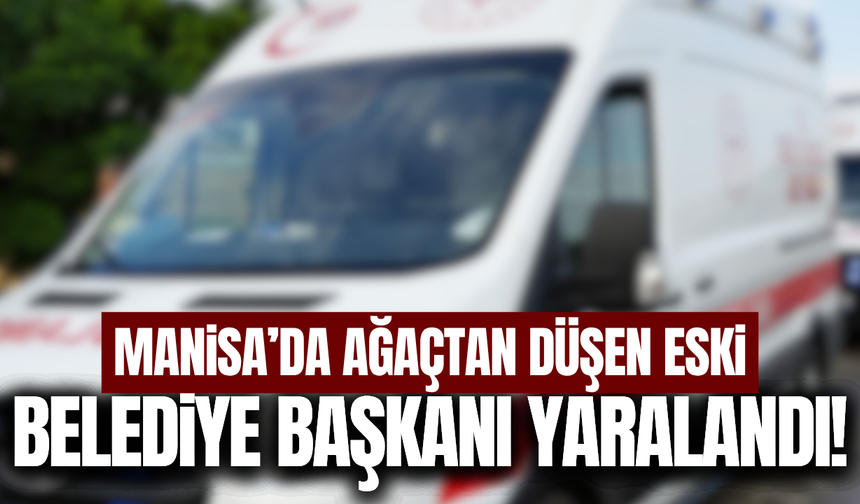 Manisa'da ağaçtan düşen eski belediye başkanı yaralandı!