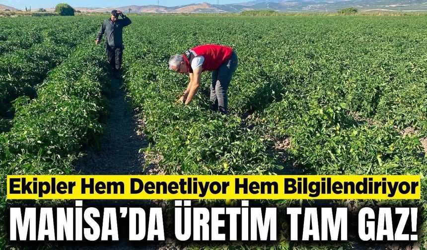 Manisa'da denetimeler sürüyor: Kavun, karpuz, sanayilik domates