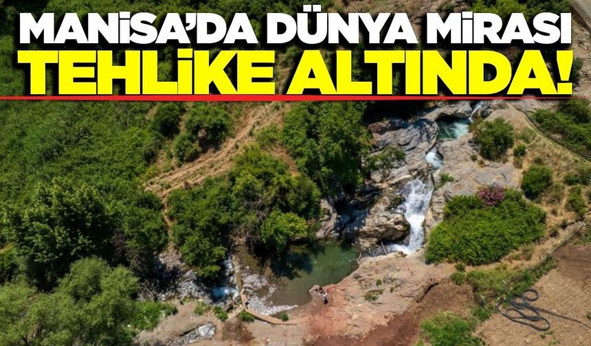 Manisa'nın gizli cenneti tehlike sinyali veriyor!