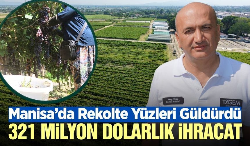 Manisa'da üzüm ihracatı bugün itibari ile başladı