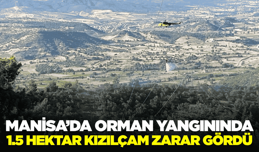 Manisa'daki Orman Yangını 3 Saatte Kontrol Altına Alındı
