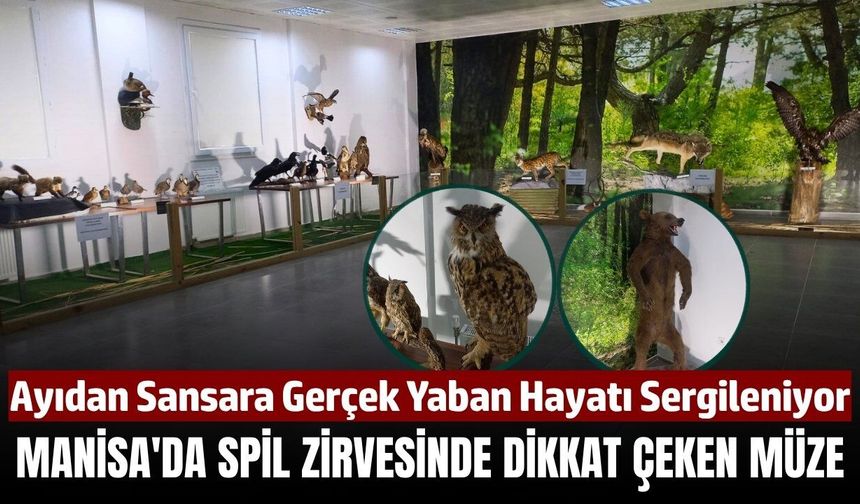 Manisalıların Mutlaka Görmesi Gereken Bir Nokta!