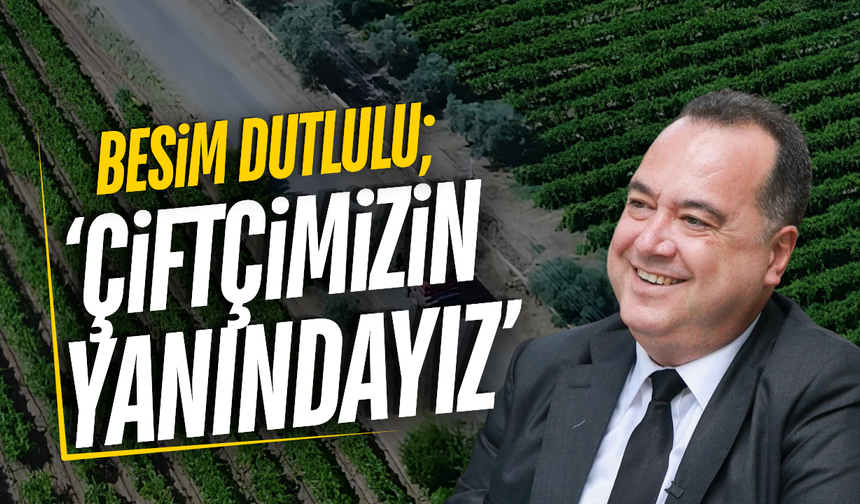 Manisa'nın ilçesinde hasat öncesi çiftçinin yüzü güldü!