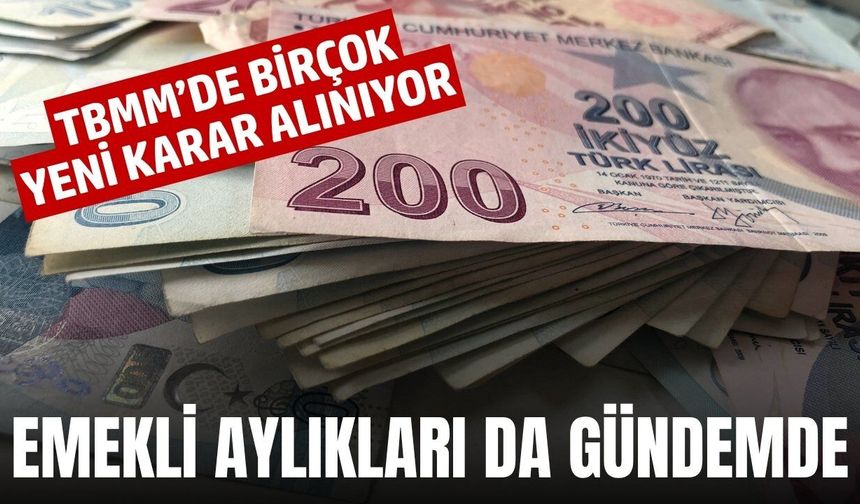 Milyonlar TBMM'den çıkacak kararı bekliyor! Ehliyetten emekli maaşına...