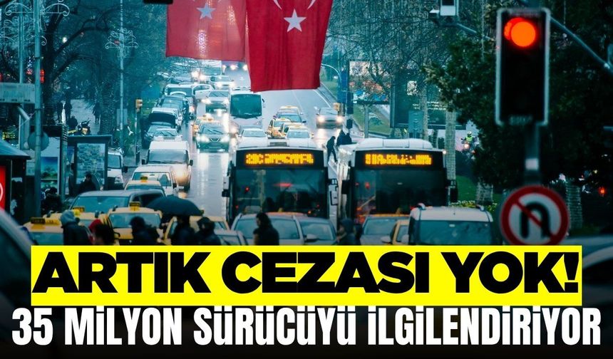 Milyonlarca araç sahibine güzel haber! Polis ceza yazmayacak