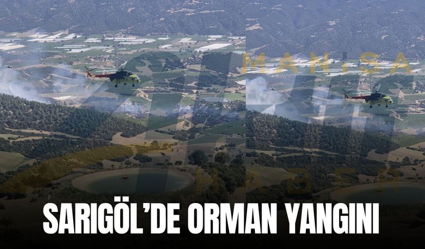 Sarıgöl'de orman yangını!