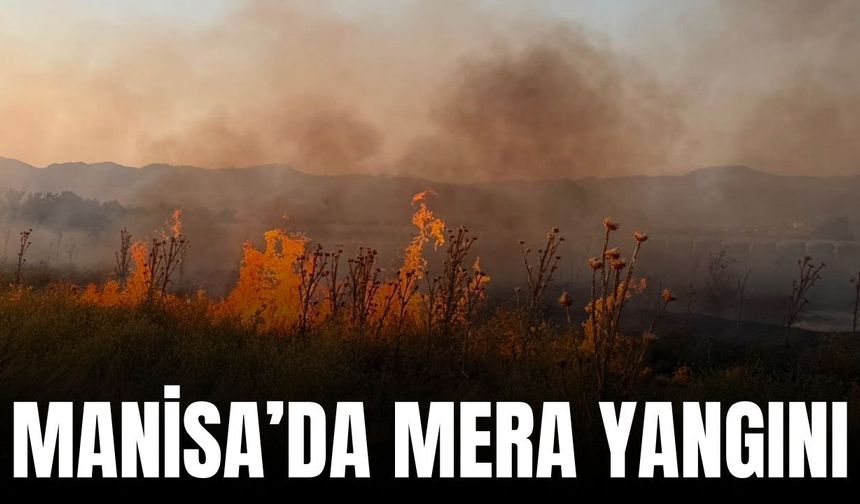 Sarıgöl'de meralık alanda yangın paniği!